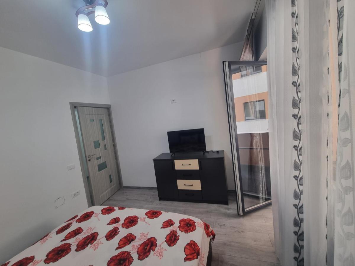 Apartament Mihaela Râmnicu Vâlcea Zewnętrze zdjęcie