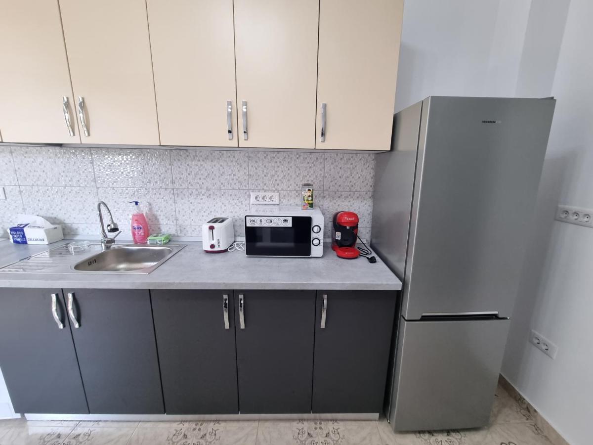 Apartament Mihaela Râmnicu Vâlcea Zewnętrze zdjęcie