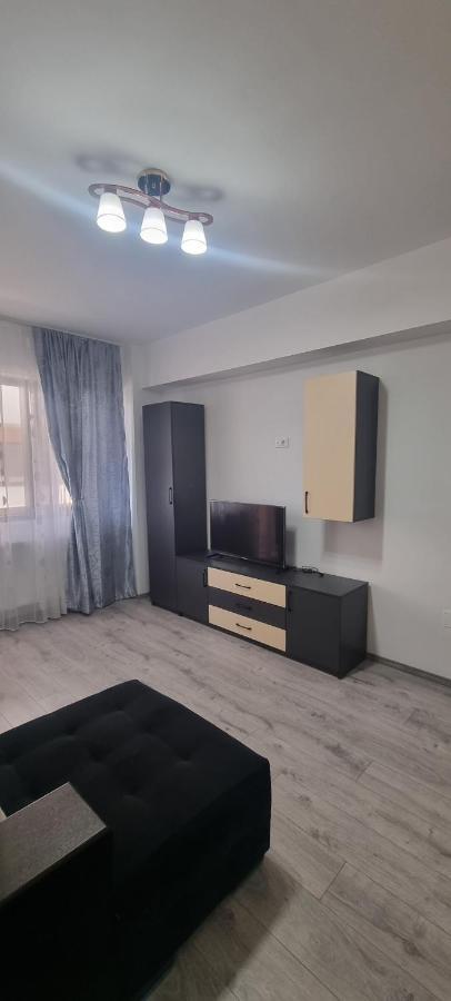 Apartament Mihaela Râmnicu Vâlcea Zewnętrze zdjęcie
